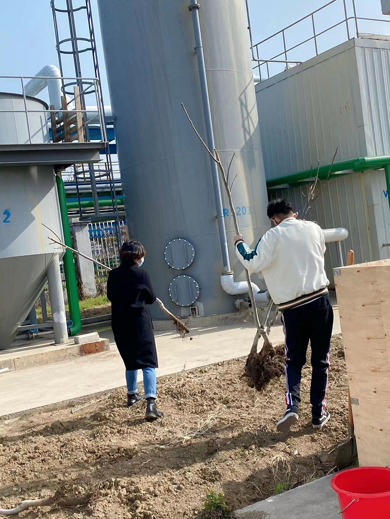 2022年3月植樹活動(dòng)