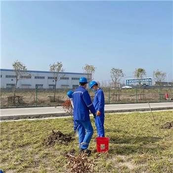 2022年3月植樹活動(dòng)