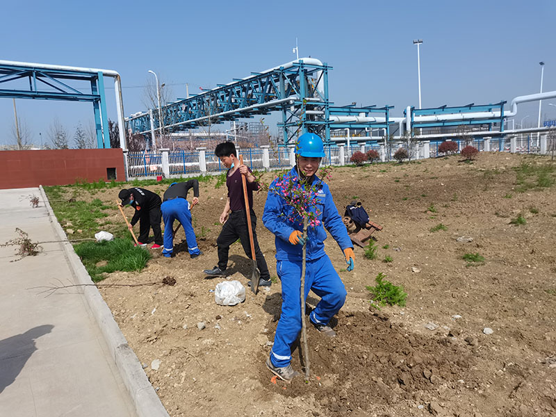 2022年3月植樹(shù)活動(dòng)