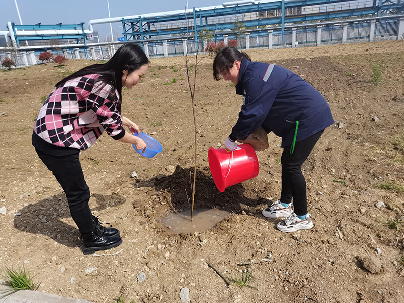 2022年3月植樹活動