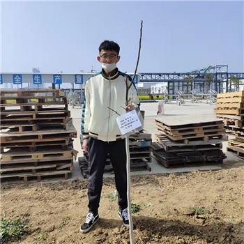 2022年3月植樹活動(dòng)