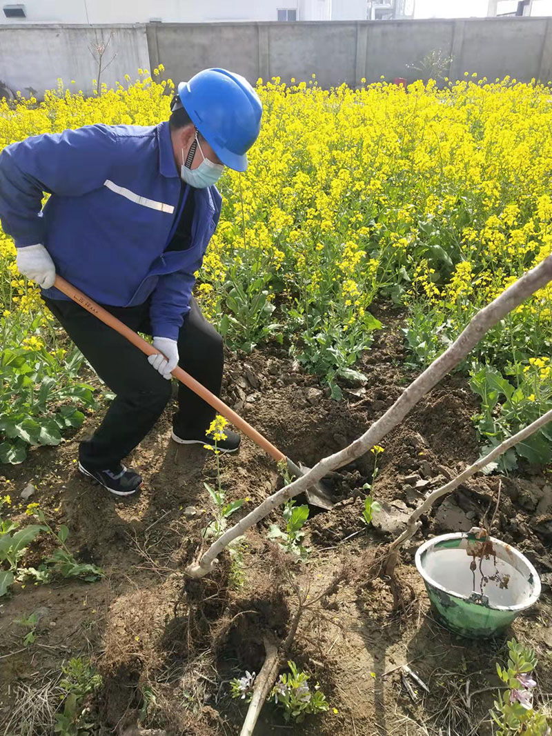 2022年3月植樹活動