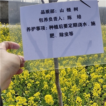 2022年3月植樹活動(dòng)