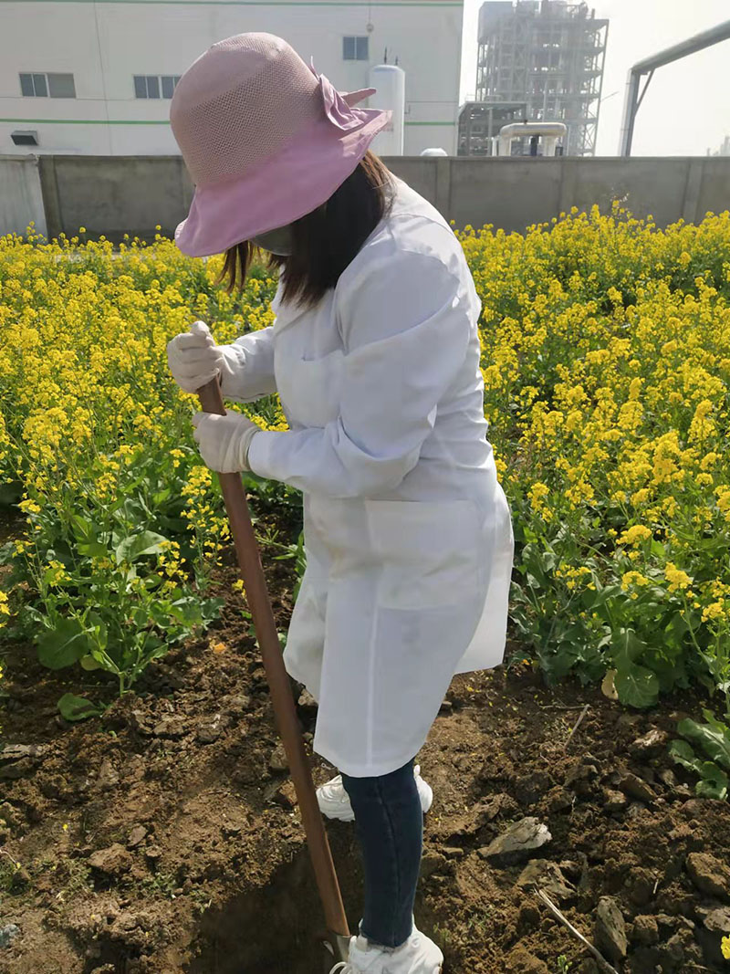 2022年3月植樹活動