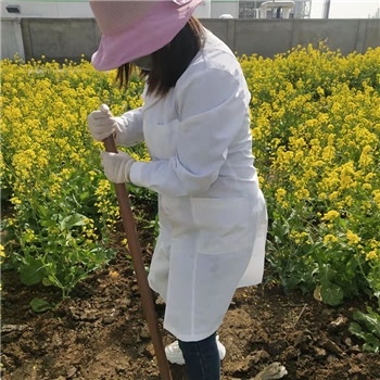 2022年3月植樹活動