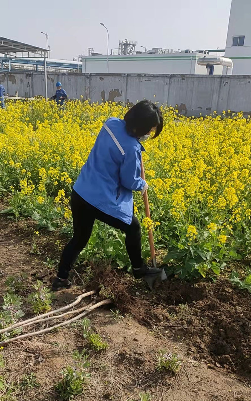 2022年3月植樹活動