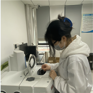 研發(fā)團(tuán)隊(duì)